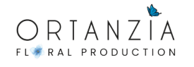 Ortanzia