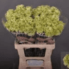 Greenshot