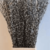 Salix2