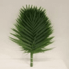 Chico leaf